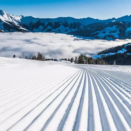 Molly By We Rent * فيهوفن